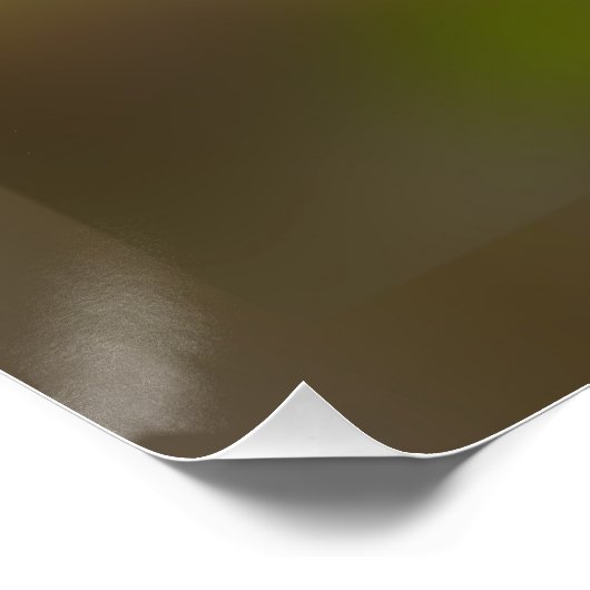 rosebuds gloeien perfect poster (Hoek)