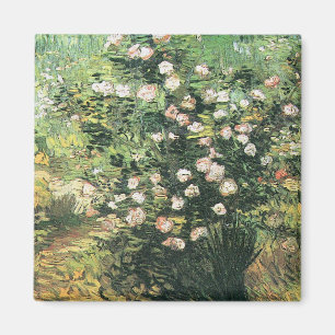 Rosebush in Blossom door Vincent van Gogh Magneet