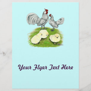 Rosecomb Bantammers en Kuikens Flyer