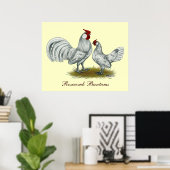 Rosecomb Splash Bantams Poster (Thuiskantoor)