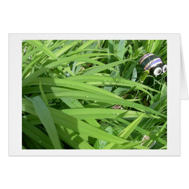 Rosée du matin (Devant horizontal)