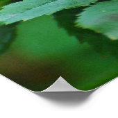 Rosehip na regen poster (Hoek)