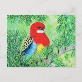 Rosella Bird Painting Briefkaart