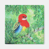Rosella Bird Painting Magneet (Voorkant)