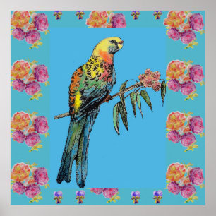 Rosella Bird Waterverf Parrot Aqua Roos Poster