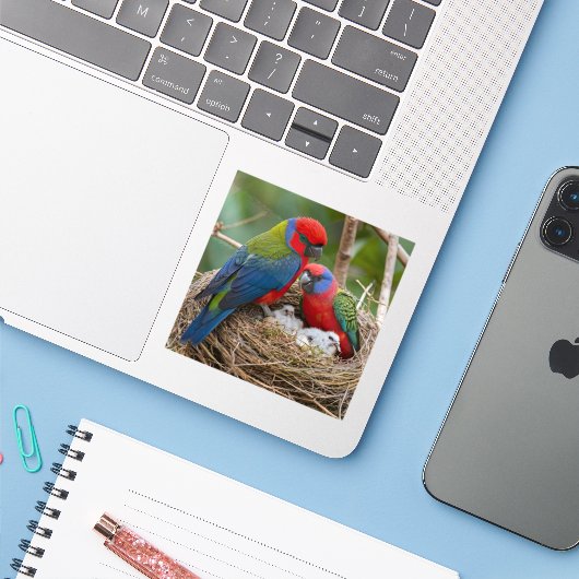 Rosella Birds Sticker (Laptop met iPhone)