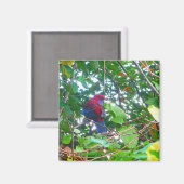 Rosella est à Cotonou - Magnet (Recto/Verso)