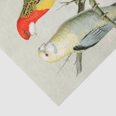 Rosella Parrakeets Tissuepapier (Detail)