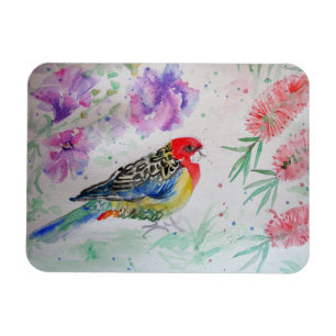 Rosella Parrot met Bottlepenseel Vogeldag Magneet