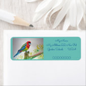 Rosella Parrot Waterverf Return Address Labels (Insitu)