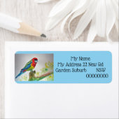 Rosella Parrot Waterverf Return Address Labels (Insitu)