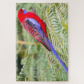 Rosella Parrots Australia Jigzaag Puzzle Legpuzzel (Verticaal)