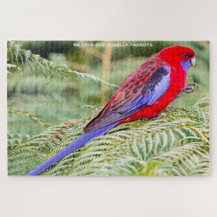 Rosella Parrots Australie Jigsaw Puzzle