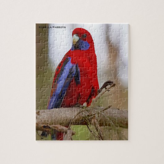 Rosella Parrots Australië Legpuzzel (Verticaal)