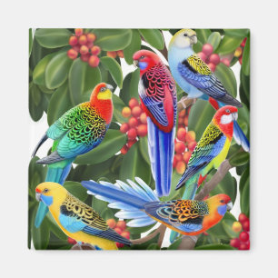 Rosella Parrots in Fig Tree Magnet Magneet