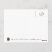 Roseman Bridge Winterset, Iowa Briefkaart (Achterkant)