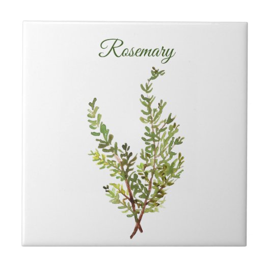Rosemary Herb Greenery Kitchen Culinaire Groene Ki Tegeltje (Voorkant)
