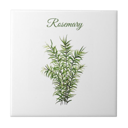 Rosemary Herb Greenery Kitchen Culinaire Groene Ki Tegeltje (Voorkant)