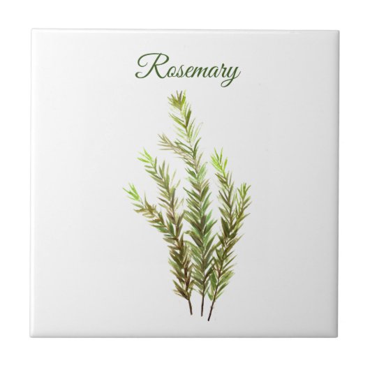 Rosemary Herb Greenery Kitchen Culinaire Groene Ki Tegeltje (Voorkant)