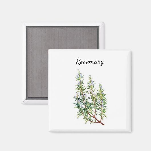 Rosemary Herb Magnet Magneet (Voorkant / Achterkant)