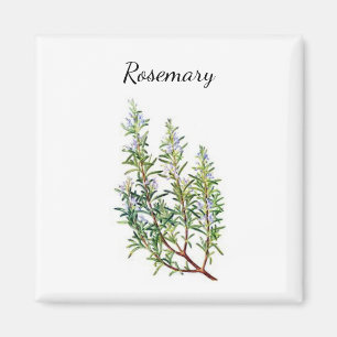 Rosemary Herb Magnet Magneet