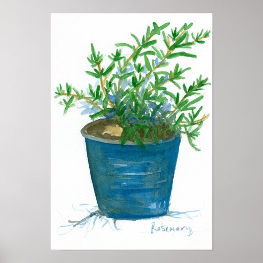 Rosemary Kitchen Herb Plant Waterverf schilderen Poster (Voorkant)
