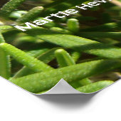 Rosemary Poster (Hoek)