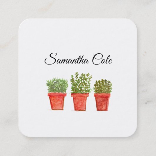 Rosemary Thyme Sage Herbs Culinaire Chef Pots Vierkante Visitekaartje (Achterkant)
