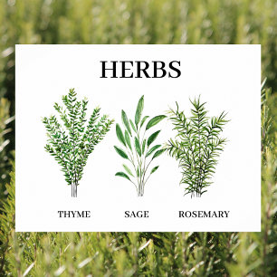 Rosemary Thyme Sage Herbs Culinaire Keukenkaak Poster