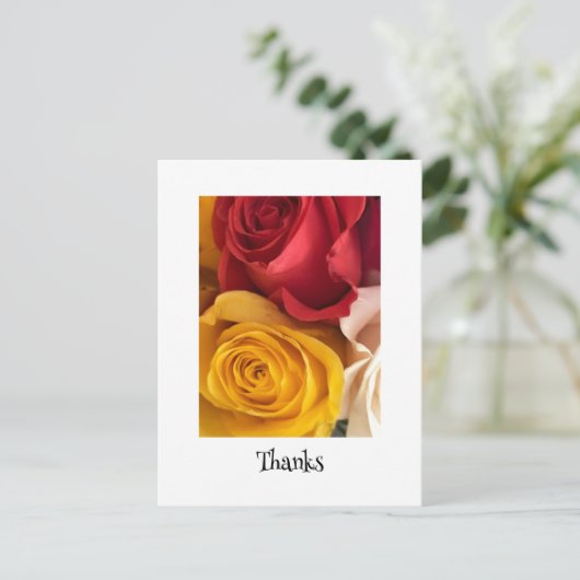 Rosen Ansichtkaart Briefkaart (Staand voorkant)