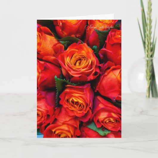 Rosen Rood Kaart (Voorkant)
