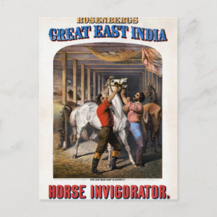 Rosenbergs Great East India Horse Invigorator. Briefkaart