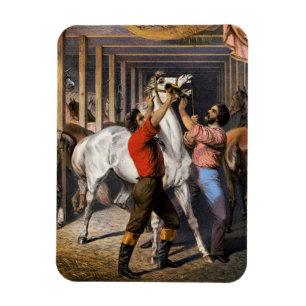 Rosenbergs Great East India Horse Invigorator. Magneet