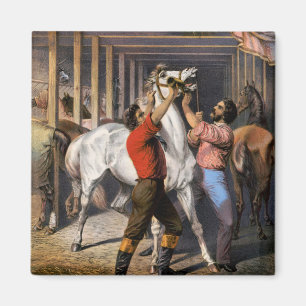 Rosenbergs Great East India Horse Invigorator. Magneet