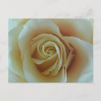 Rosentraum Briefkaart