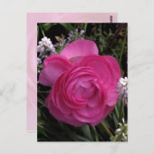 RoseRed... Briefkaart (Voorkant / Achterkant)