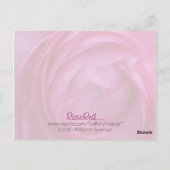 RoseRed... Briefkaart (Achterkant)