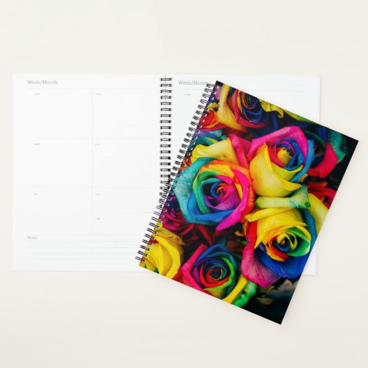 Roses arc-en-ciel (Devant avec enveloppe)