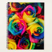 Roses arc-en-ciel (Devant)