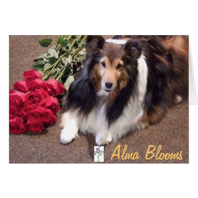 Roses avec logo (Devant horizontal)