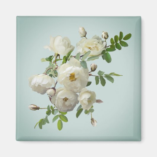 Roses blanches sur aimant vert onirique (Devant)