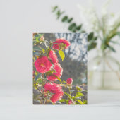 Roses  briefkaart (Staand voorkant)