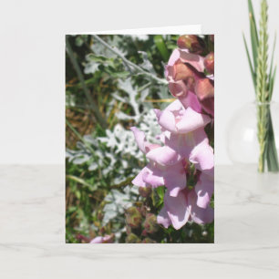 Roses ! Carte de voeux
