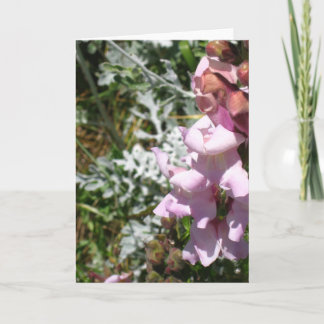 Roses ! Carte de voeux