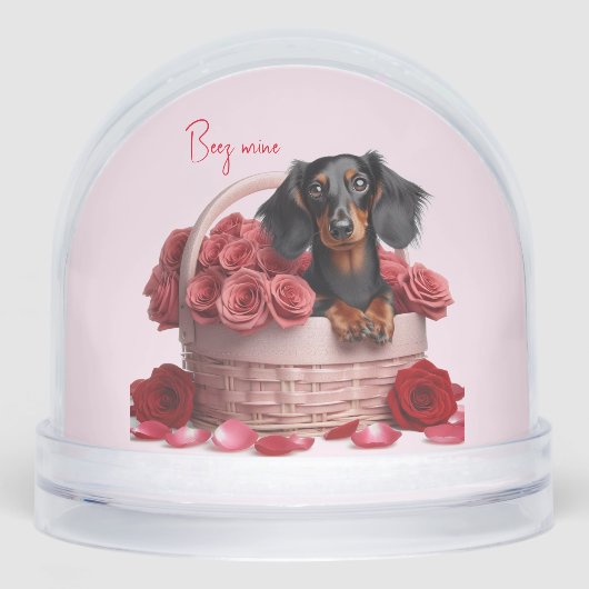 Roses Dachshund aux cheveux longs (Avant)