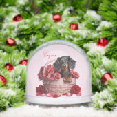 Roses Dachshund aux cheveux longs (Noël)