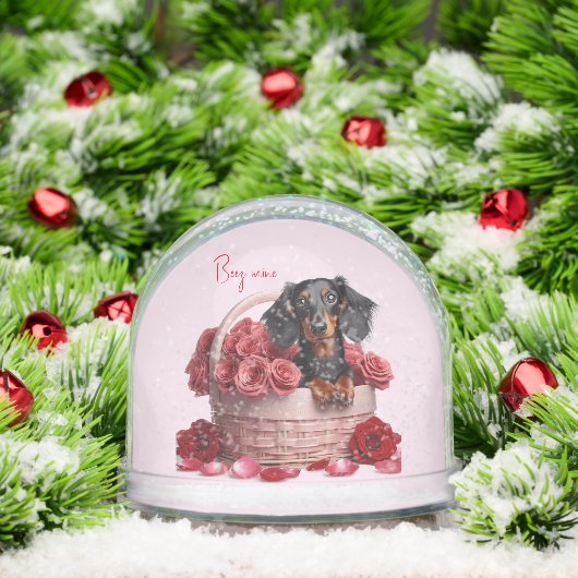 Roses Dachshund aux cheveux longs (Noël)