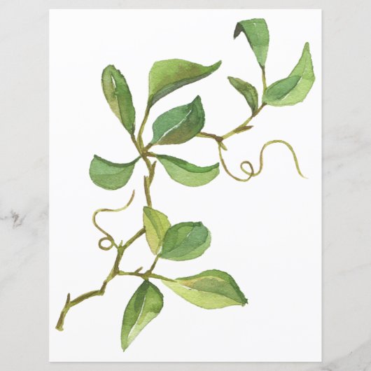 Roses d'aquarelle et papeterie Eucalyptus (Dos)