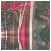 Roses de compassion..... tissu (Détail)