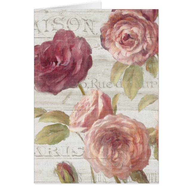 Roses de Français de rose en pastel (Devant)